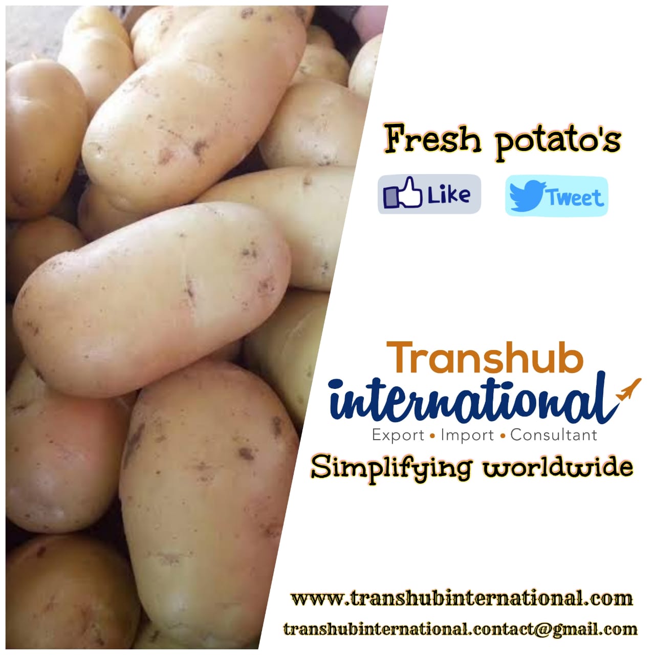Potato and Other Vegetable export in Asian countries Export from